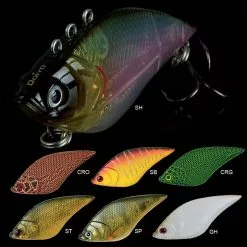 KÖDER SINKEND DOIYO SOSA SAMBAI